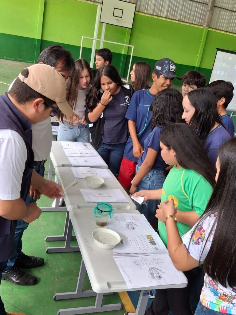 Secretaria de Saúde de Caracol intensifica ações de combate ao Aedes aegypti Secretaria de Saúde de Caracol intensifica ações de combate ao Aedes aegypti