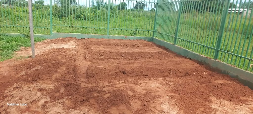 Projeto “Horta Escolar: Frutos para o Amanhã” transforma ensino e fortalece laços na Escola Rural Inácio Silvestre Monteiro Projeto “Horta Escolar: Frutos para o Amanhã” transforma ensino e fortalece laços na Escola Rural Inácio Silvestre Monteiro