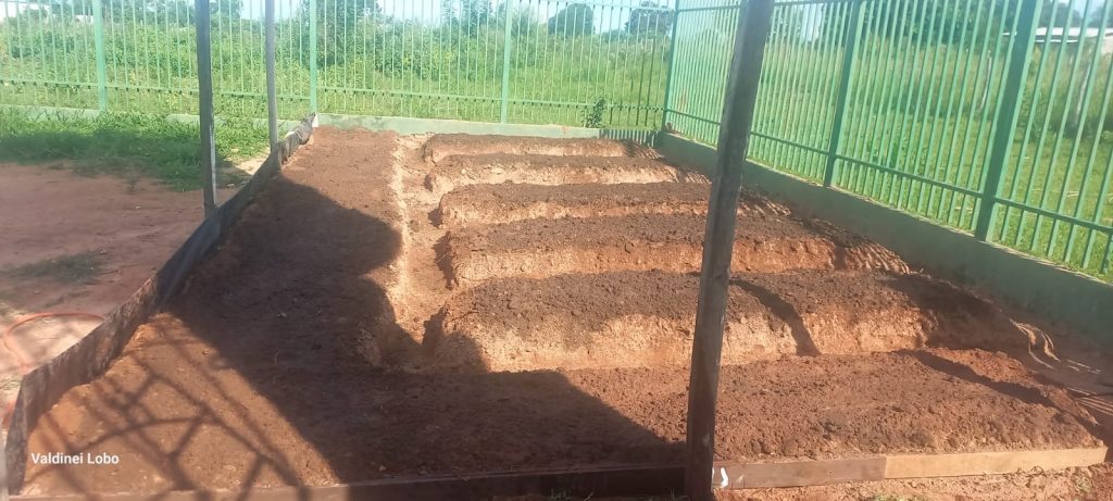 Projeto “Horta Escolar: Frutos para o Amanhã” transforma ensino e fortalece laços na Escola Rural Inácio Silvestre Monteiro Projeto “Horta Escolar: Frutos para o Amanhã” transforma ensino e fortalece laços na Escola Rural Inácio Silvestre Monteiro
