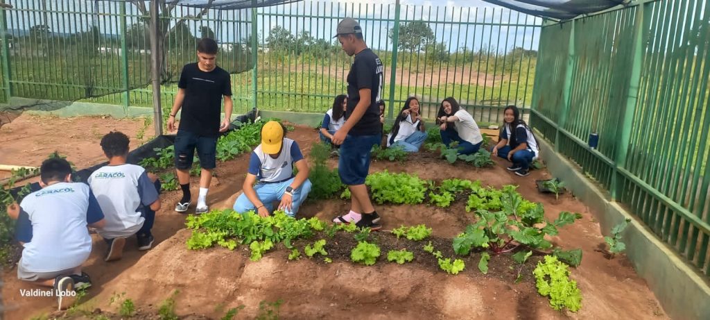 Projeto “Horta Escolar: Frutos para o Amanhã” transforma ensino e fortalece laços na Escola Rural Inácio Silvestre Monteiro Projeto “Horta Escolar: Frutos para o Amanhã” transforma ensino e fortalece laços na Escola Rural Inácio Silvestre Monteiro