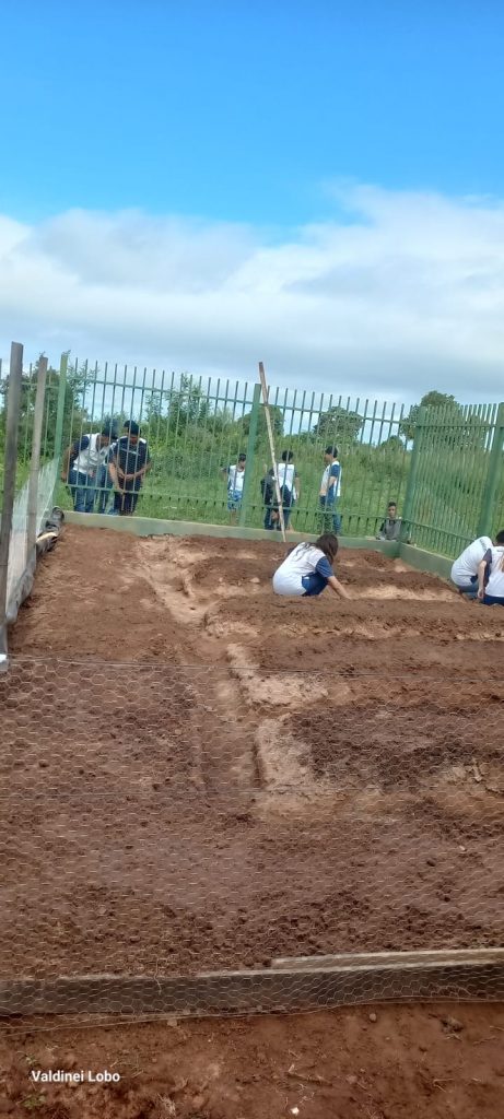 Projeto “Horta Escolar: Frutos para o Amanhã” transforma ensino e fortalece laços na Escola Rural Inácio Silvestre Monteiro Projeto “Horta Escolar: Frutos para o Amanhã” transforma ensino e fortalece laços na Escola Rural Inácio Silvestre Monteiro