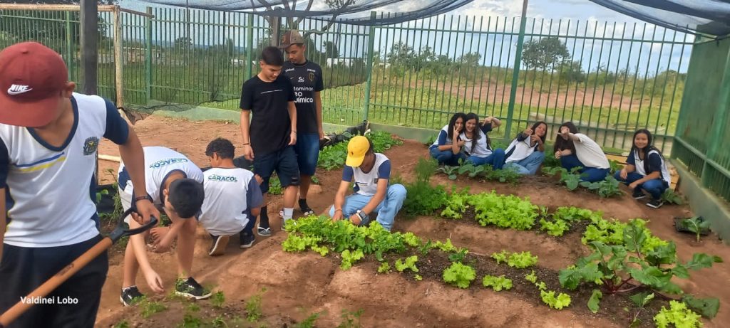 Projeto “Horta Escolar: Frutos para o Amanhã” transforma ensino e fortalece laços na Escola Rural Inácio Silvestre Monteiro Projeto “Horta Escolar: Frutos para o Amanhã” transforma ensino e fortalece laços na Escola Rural Inácio Silvestre Monteiro