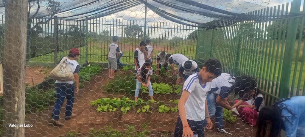 Projeto “Horta Escolar: Frutos para o Amanhã” transforma ensino e fortalece laços na Escola Rural Inácio Silvestre Monteiro Projeto “Horta Escolar: Frutos para o Amanhã” transforma ensino e fortalece laços na Escola Rural Inácio Silvestre Monteiro