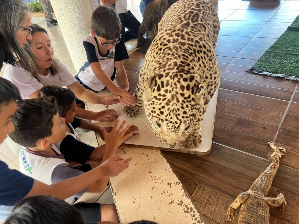 Escolas de Caracol promovem atividades especiais pelo Dia Mundial do Meio Ambiente Escolas de Caracol promovem atividades especiais pelo Dia Mundial do Meio Ambiente