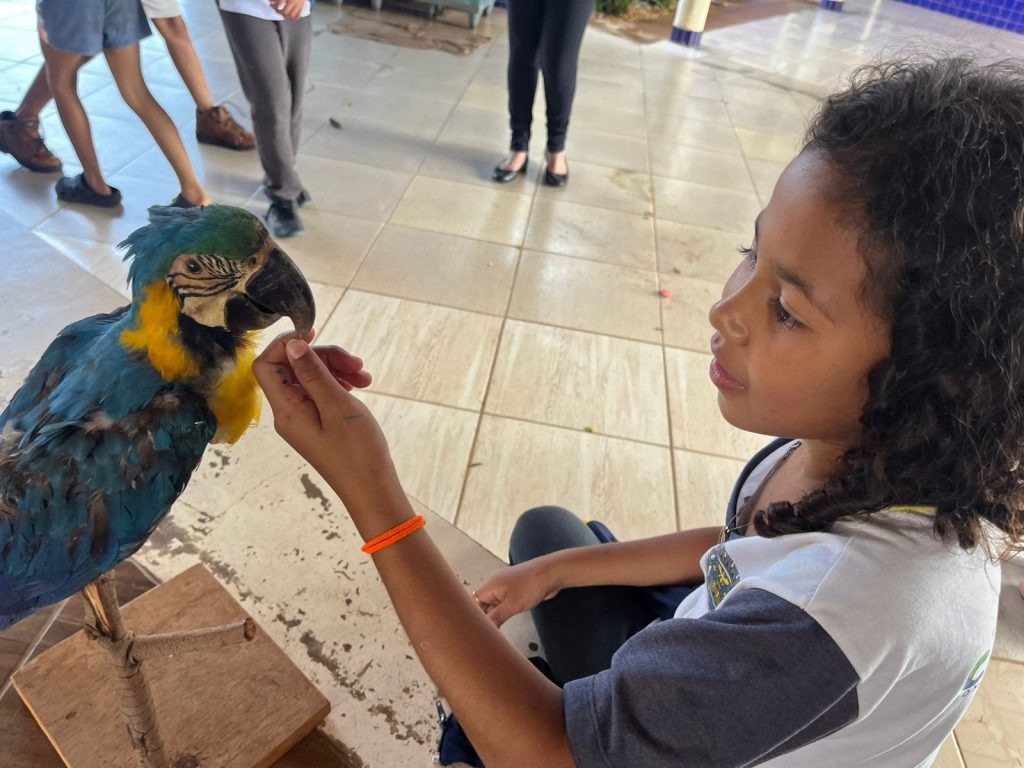 Escolas de Caracol promovem atividades especiais pelo Dia Mundial do Meio Ambiente Escolas de Caracol promovem atividades especiais pelo Dia Mundial do Meio Ambiente