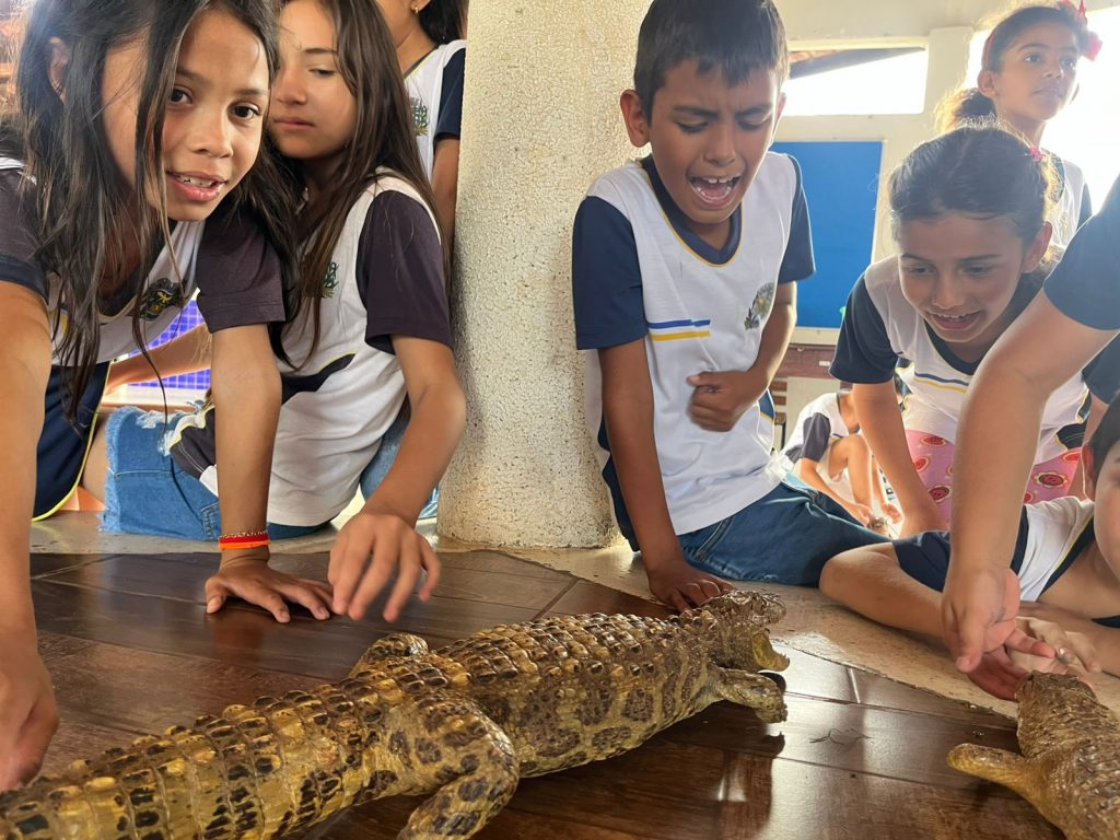Escolas de Caracol promovem atividades especiais pelo Dia Mundial do Meio Ambiente Escolas de Caracol promovem atividades especiais pelo Dia Mundial do Meio Ambiente