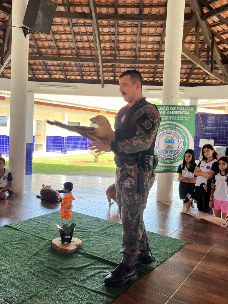 Escolas de Caracol promovem atividades especiais pelo Dia Mundial do Meio Ambiente Escolas de Caracol promovem atividades especiais pelo Dia Mundial do Meio Ambiente