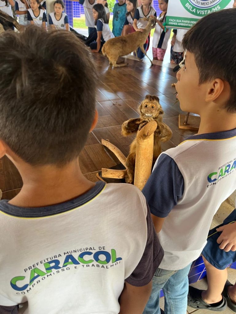 Escolas de Caracol promovem atividades especiais pelo Dia Mundial do Meio Ambiente Escolas de Caracol promovem atividades especiais pelo Dia Mundial do Meio Ambiente