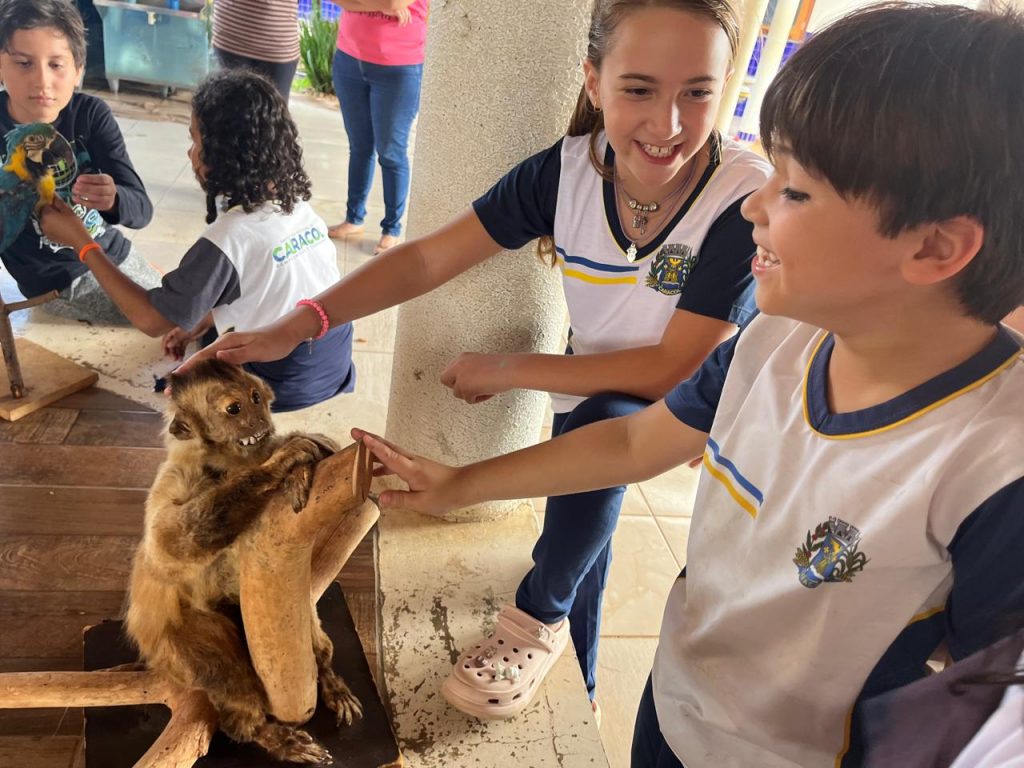 Escolas de Caracol promovem atividades especiais pelo Dia Mundial do Meio Ambiente Escolas de Caracol promovem atividades especiais pelo Dia Mundial do Meio Ambiente