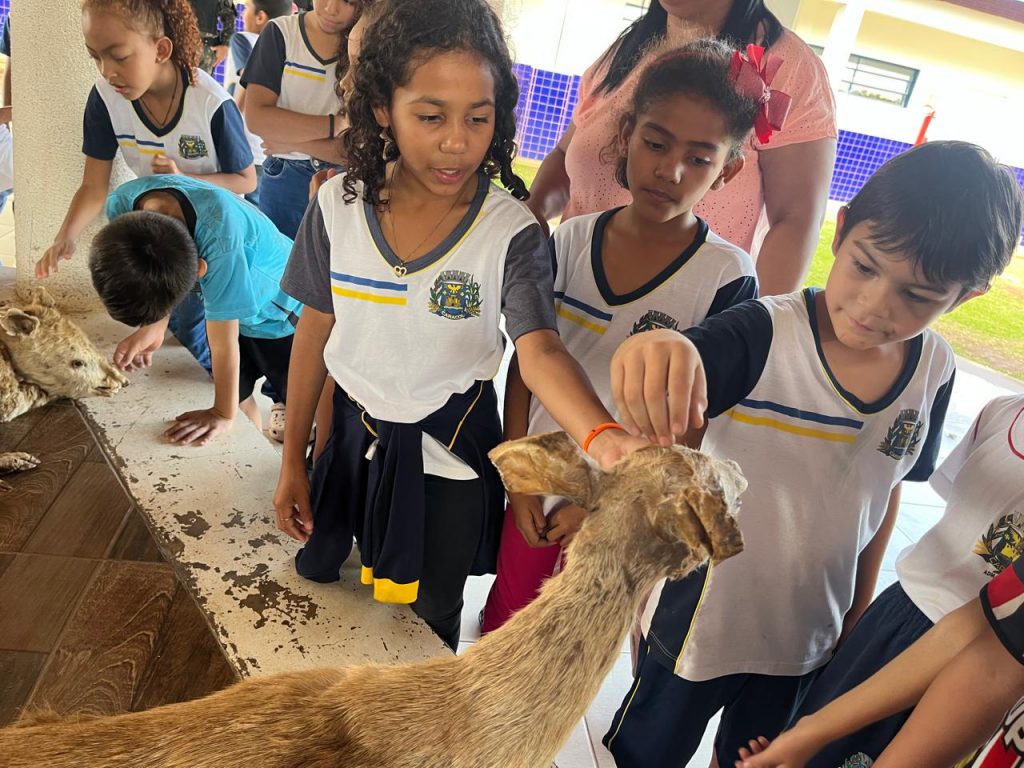 Escolas de Caracol promovem atividades especiais pelo Dia Mundial do Meio Ambiente Escolas de Caracol promovem atividades especiais pelo Dia Mundial do Meio Ambiente