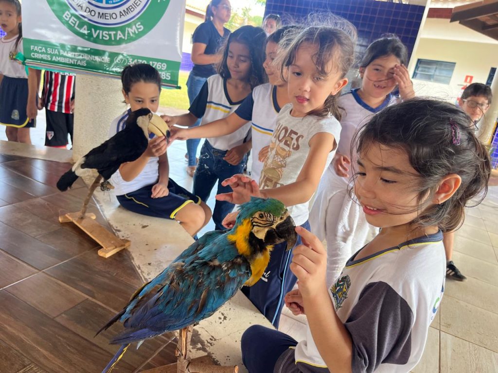 Escolas de Caracol promovem atividades especiais pelo Dia Mundial do Meio Ambiente Escolas de Caracol promovem atividades especiais pelo Dia Mundial do Meio Ambiente