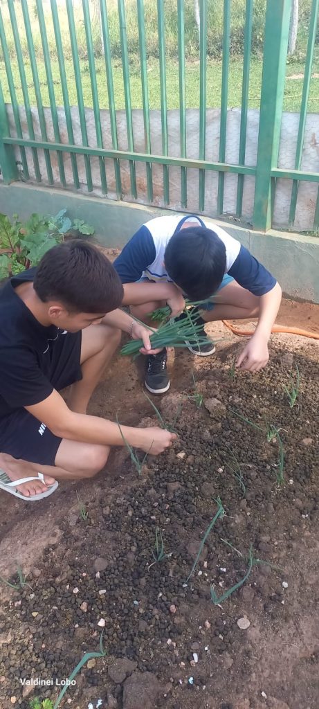 Projeto “Horta Escolar: Frutos para o Amanhã” transforma ensino e fortalece laços na Escola Rural Inácio Silvestre Monteiro Projeto “Horta Escolar: Frutos para o Amanhã” transforma ensino e fortalece laços na Escola Rural Inácio Silvestre Monteiro