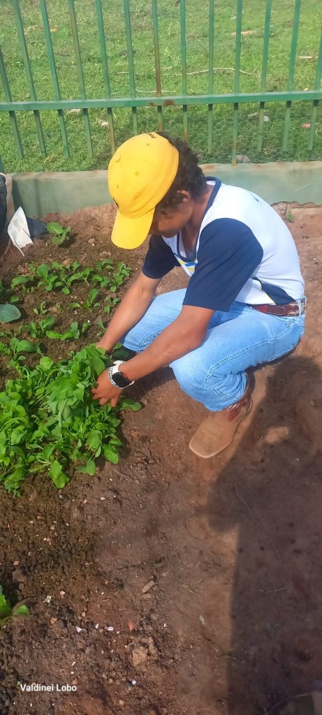 Projeto “Horta Escolar: Frutos para o Amanhã” transforma ensino e fortalece laços na Escola Rural Inácio Silvestre Monteiro Projeto “Horta Escolar: Frutos para o Amanhã” transforma ensino e fortalece laços na Escola Rural Inácio Silvestre Monteiro