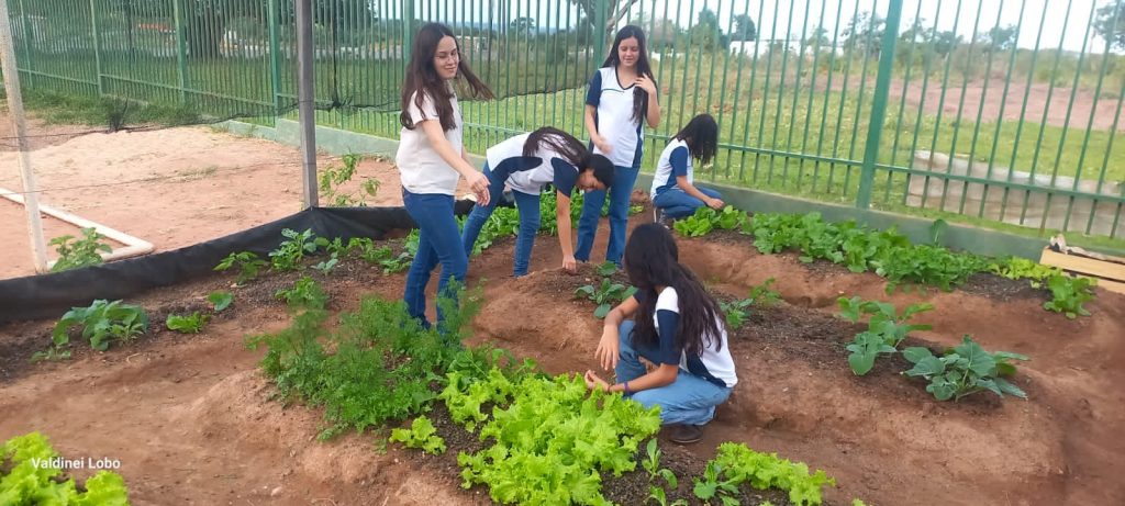 Projeto “Horta Escolar: Frutos para o Amanhã” transforma ensino e fortalece laços na Escola Rural Inácio Silvestre Monteiro Projeto “Horta Escolar: Frutos para o Amanhã” transforma ensino e fortalece laços na Escola Rural Inácio Silvestre Monteiro