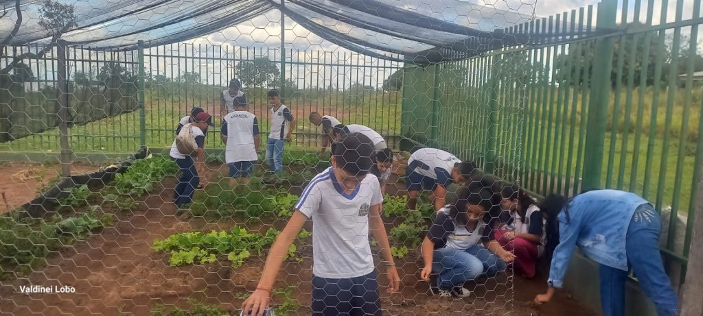 Projeto “Horta Escolar: Frutos para o Amanhã” transforma ensino e fortalece laços na Escola Rural Inácio Silvestre Monteiro Projeto “Horta Escolar: Frutos para o Amanhã” transforma ensino e fortalece laços na Escola Rural Inácio Silvestre Monteiro