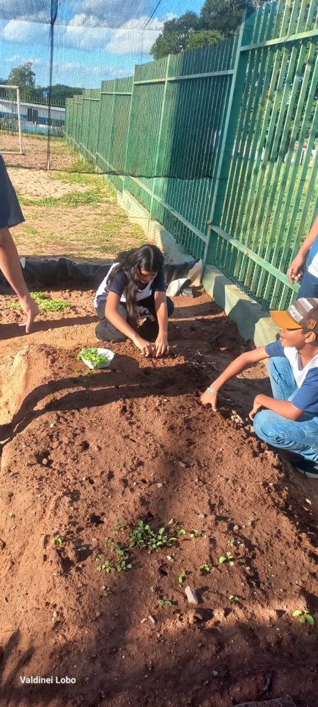 Projeto “Horta Escolar: Frutos para o Amanhã” transforma ensino e fortalece laços na Escola Rural Inácio Silvestre Monteiro Projeto “Horta Escolar: Frutos para o Amanhã” transforma ensino e fortalece laços na Escola Rural Inácio Silvestre Monteiro