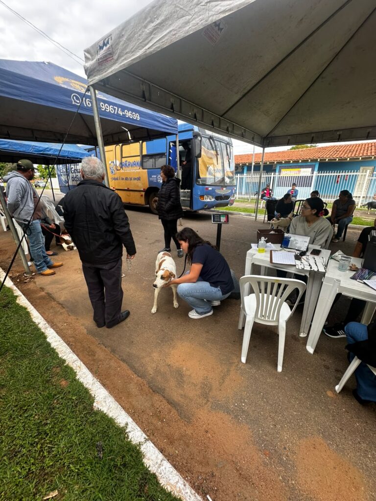 Caravana da Castração realiza mais de 200 procedimentos e promove saúde e bem-estar animal em Caracol Caravana da Castração realiza mais de 200 procedimentos e promove saúde e bem-estar animal em Caracol