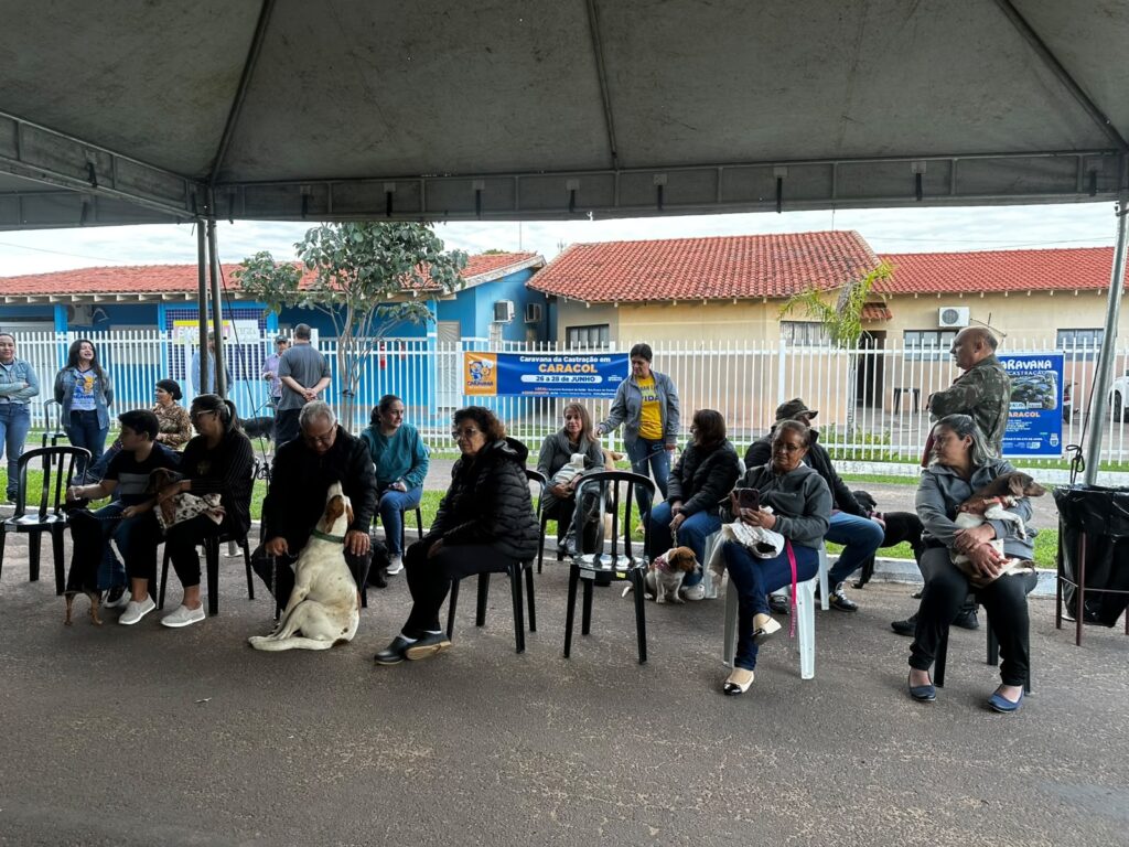 Caravana da Castração realiza mais de 200 procedimentos e promove saúde e bem-estar animal em Caracol Caravana da Castração realiza mais de 200 procedimentos e promove saúde e bem-estar animal em Caracol
