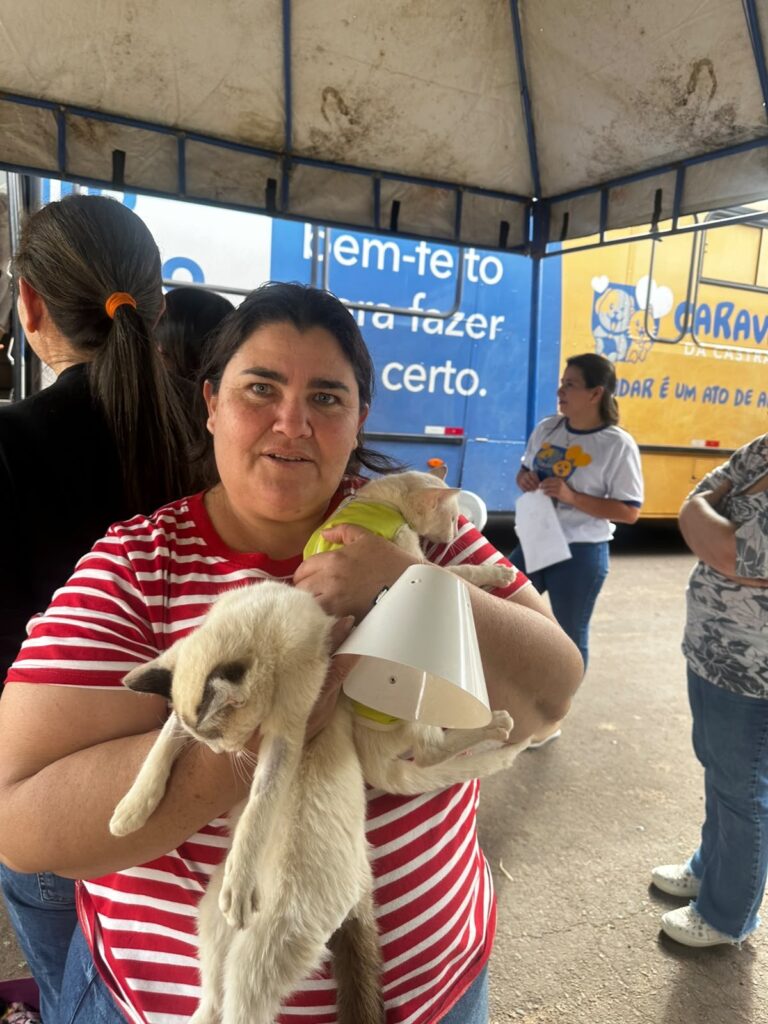 Caravana da Castração realiza mais de 200 procedimentos e promove saúde e bem-estar animal em Caracol Caravana da Castração realiza mais de 200 procedimentos e promove saúde e bem-estar animal em Caracol