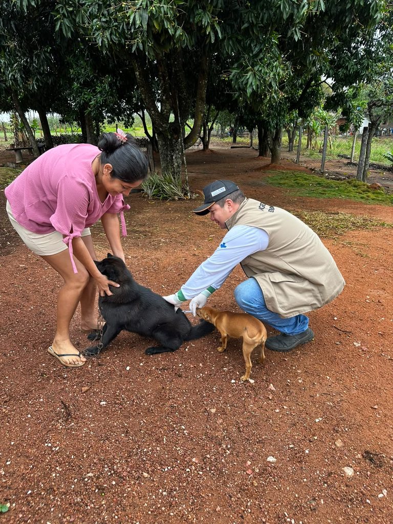 Vacinação antirrábica ultrapassa 520 animais vacinados em Caracol e Alto Caracol