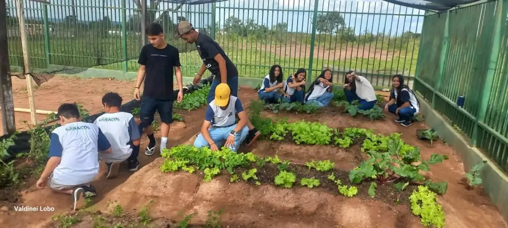 Projeto “Horta Escolar: Frutos para o Amanhã” transforma ensino e fortalece laços na Escola Rural Inácio Silvestre Monteiro Projeto “Horta Escolar: Frutos para o Amanhã” transforma ensino e fortalece laços na Escola Rural Inácio Silvestre Monteiro