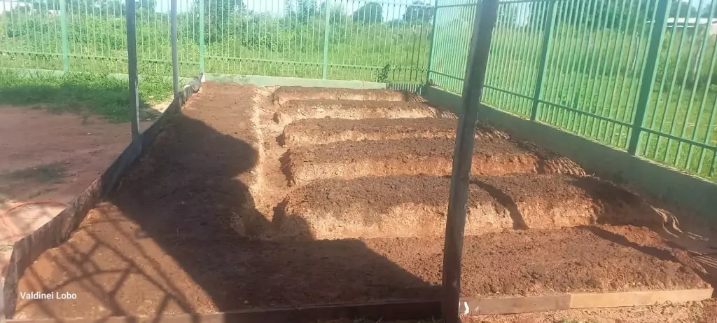 Projeto “Horta Escolar: Frutos para o Amanhã” transforma ensino e fortalece laços na Escola Rural Inácio Silvestre Monteiro Projeto “Horta Escolar: Frutos para o Amanhã” transforma ensino e fortalece laços na Escola Rural Inácio Silvestre Monteiro