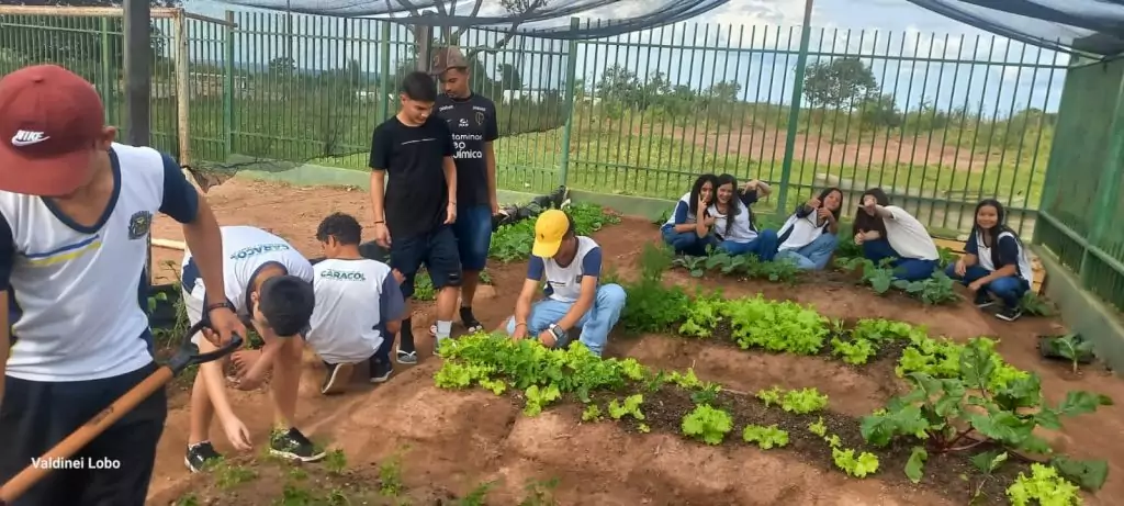 Projeto “Horta Escolar: Frutos para o Amanhã” transforma ensino e fortalece laços na Escola Rural Inácio Silvestre Monteiro Projeto “Horta Escolar: Frutos para o Amanhã” transforma ensino e fortalece laços na Escola Rural Inácio Silvestre Monteiro