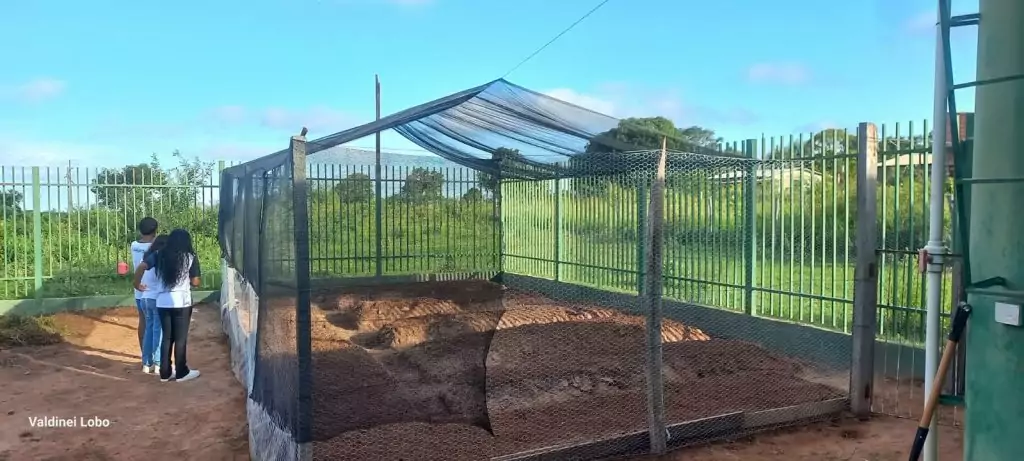 Projeto “Horta Escolar: Frutos para o Amanhã” transforma ensino e fortalece laços na Escola Rural Inácio Silvestre Monteiro Projeto “Horta Escolar: Frutos para o Amanhã” transforma ensino e fortalece laços na Escola Rural Inácio Silvestre Monteiro