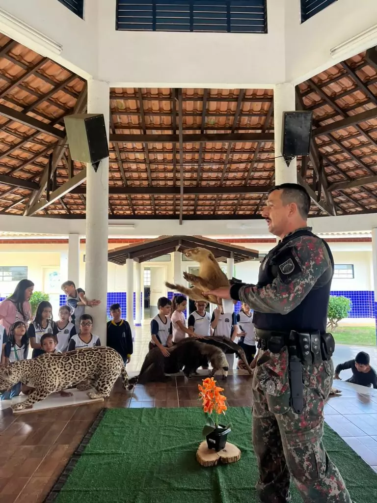 Escolas de Caracol promovem atividades especiais pelo Dia Mundial do Meio Ambiente Escolas de Caracol promovem atividades especiais pelo Dia Mundial do Meio Ambiente