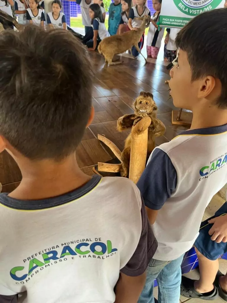Escolas de Caracol promovem atividades especiais pelo Dia Mundial do Meio Ambiente Escolas de Caracol promovem atividades especiais pelo Dia Mundial do Meio Ambiente