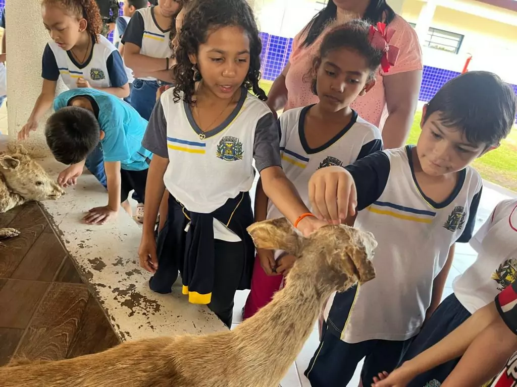 Escolas de Caracol promovem atividades especiais pelo Dia Mundial do Meio Ambiente Escolas de Caracol promovem atividades especiais pelo Dia Mundial do Meio Ambiente