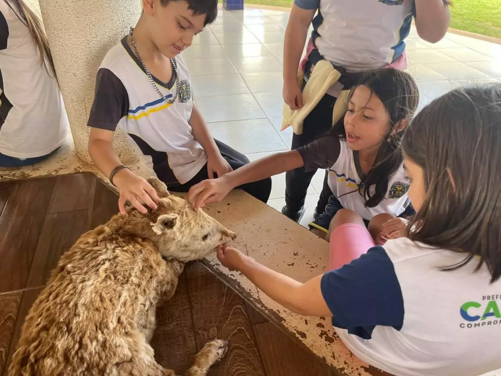 Escolas de Caracol promovem atividades especiais pelo Dia Mundial do Meio Ambiente Escolas de Caracol promovem atividades especiais pelo Dia Mundial do Meio Ambiente
