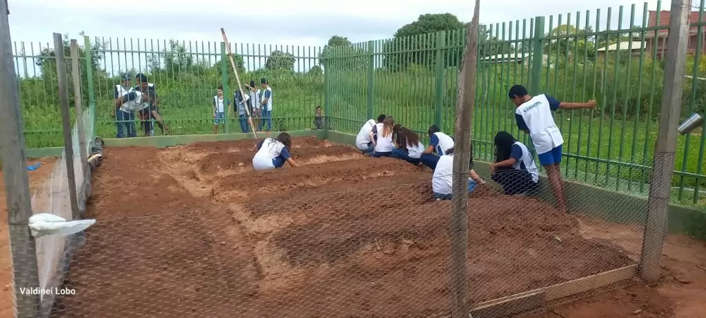 Projeto “Horta Escolar: Frutos para o Amanhã” transforma ensino e fortalece laços na Escola Rural Inácio Silvestre Monteiro Projeto “Horta Escolar: Frutos para o Amanhã” transforma ensino e fortalece laços na Escola Rural Inácio Silvestre Monteiro