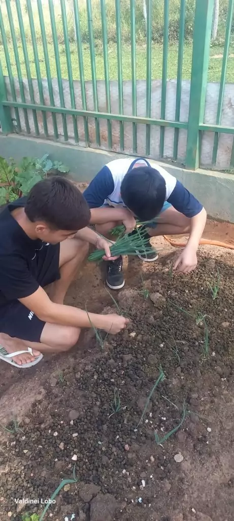 Projeto “Horta Escolar: Frutos para o Amanhã” transforma ensino e fortalece laços na Escola Rural Inácio Silvestre Monteiro Projeto “Horta Escolar: Frutos para o Amanhã” transforma ensino e fortalece laços na Escola Rural Inácio Silvestre Monteiro