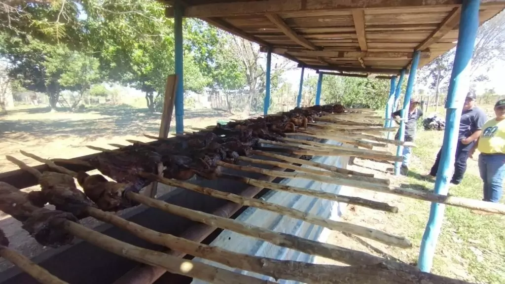 Prefeitura de Caracol promove almoço dançante para idosos do SCFV 60+ em parceria com Sicredi