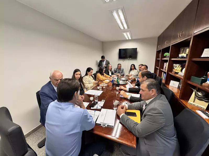 Prefeito Neco e vereadores de Caracol cumprem agenda positiva em Brasília