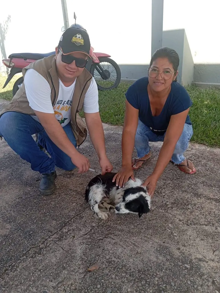 Vacinação antirrábica ultrapassa 520 animais vacinados em Caracol e Alto Caracol Vacinação antirrábica ultrapassa 520 animais vacinados em Caracol e Alto Caracol