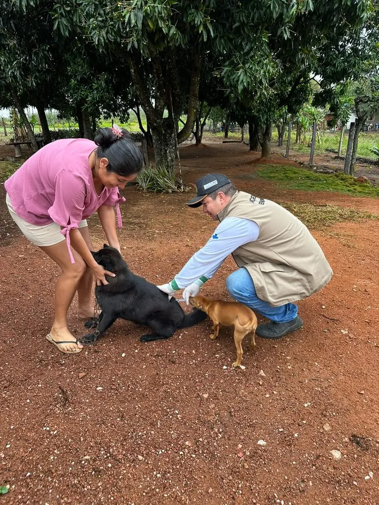 Vacinação antirrábica ultrapassa 520 animais vacinados em Caracol e Alto Caracol Vacinação antirrábica ultrapassa 520 animais vacinados em Caracol e Alto Caracol